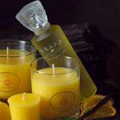 Trapp No 4-Orange Vanilla- Home Fragrance Mist