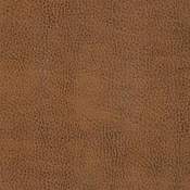 Avanti Bronze