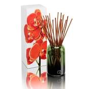 Dayna Decker Clementine Botanika Petit Diffuser