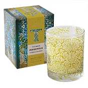 Thymes Indigenous candle-Verbena Bamboo