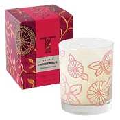 Thymes Indigenous candle-Oolong Cassis