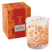 Thymes Indigenous candle-Tamarind Lychee
