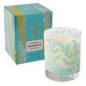 Thymes Indigenous candle-Blue Lotus