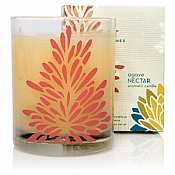 Thymes Agave Nectar Candle