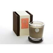 AQUIESSE Ginger Mango 100 Hr LG Soy Candle