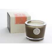 AQUIESSE Ginger Mango 45 Hr SM Soy Candle