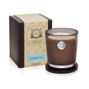 AQUIESSE Shoreline 100 Hr LG Soy Candle
