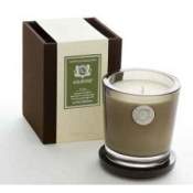Aquiesse Alpine Meadow 100 Hr Soy Candle