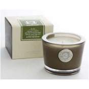 Aquiesse Alpine Meadow 45 Hr Soy Candle