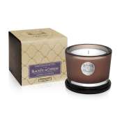 Aquiesse Black Fig & Cypress 45 Hr Soy Candle