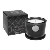 Aquiesse Black Orchid 45 Hr Soy Candle