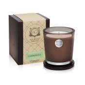 Aquiesse Cherimoya 100 hr Soy Candle