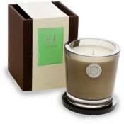Aquiesse Cherimoya 100 hr Soy Candle-Keepsake Box