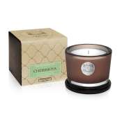 Aquiesse Cherimoya 45 Hr. Soy Candle