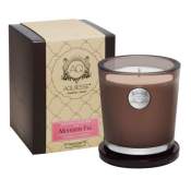 Aquiesse Mission Fig 100 Hr Soy Candle