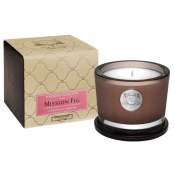 Aquiesse Mission Fig 45 Hr Soy Candle
