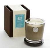 Aquiesse Blue Agave 100 Hr Soy Candle