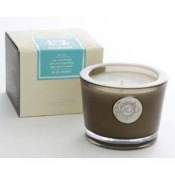 Aquiesse Blue Agave 45 Hr Soy Candle