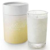 Aquiesse Optimist Candle Vase Wishful  Mist-Star Citrus