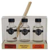 Archipelago Botanicals Fruits Mini Diffuser Gift Set