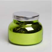 Capri Blue Velvet Moss & Jasmine Lime Metallic