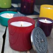 Capri Blue Wild Rose & Poppy Cylinder-Lg