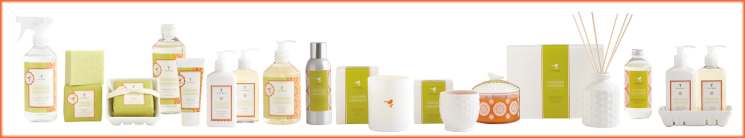 Thymes Mandarin Coriander