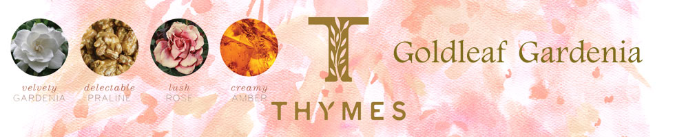Thymes Goldleaf Gardenia