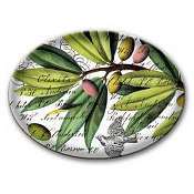 Michel Design Soap-Candy Dish-Olive Grove