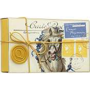 MOR Correspondence Soap Bar-Quince Persimmon