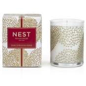 Nest Birchwood Pine Votive Candle