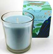 Pacifica Waikiki Pikake 10.5oz Candle