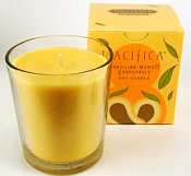 Pacifica Brazilian Mango Grapefruit 10.5oz Candle