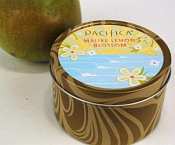 Pacifica Malibu Lemon Blossom Travel Candle