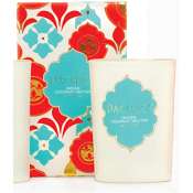 Pacifica Indian Coconut Nectar Deluxe Soy Candle