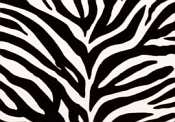 Chicago Textile Puff Ottoman-Zebra