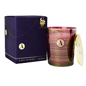 Aquiesse Oud Currant (Winter Currant) Holiday Soy Candle