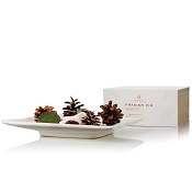Thymes Frasier Fir Porcelain Potpourri