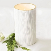 Thymes Frasier Fir Tall Ceramic Candle