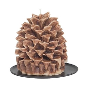 Aspen Bay Cinnamon Beigent Pineapple Pinecone