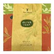 Thymes Olive Leaf Bath Salt Envelope