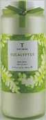 Thymes Eucalyptus Jar Salts