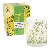 Thymes Indigenous candle-Anjou Vert