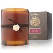 Thymes Wildwood Black Currant & Birchwood Candle
