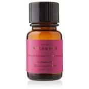 Thymes Wildwood Black Currant & Birchwood Refresher Oil