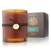 Thymes Wildwood Blue Spruce & Elderberry Candle