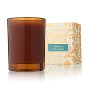 Thymes Wildwood Blue Spruce & Elderberry Votive Candle