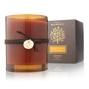 Thymes Wildwood Brandied Pumpkin & Chestnut Candle