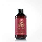 Thymes Wildwood Juniper Berry & Sandalwood Diffuser Oil Refill