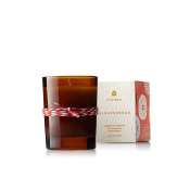 Thymes Gingerbread Votive Candle